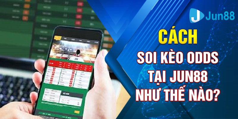 Biết tổng hợp thông tin khi soi kèo Odds