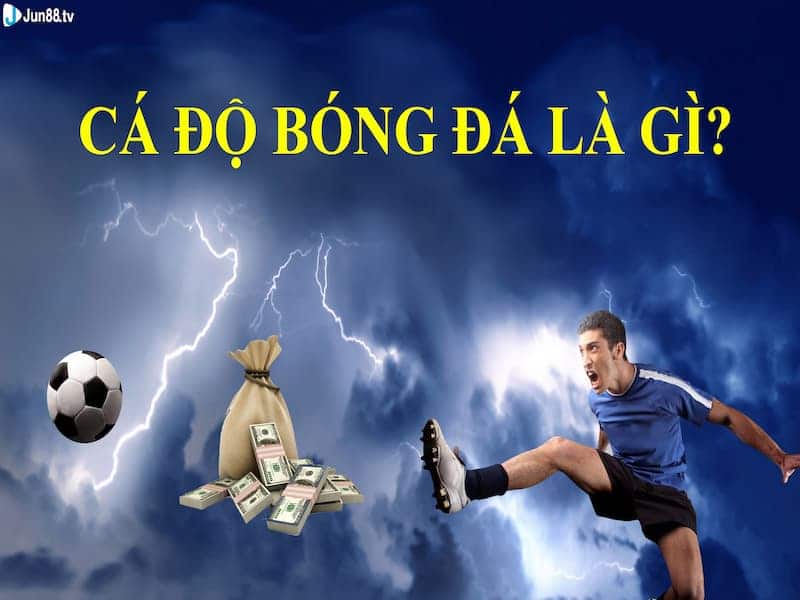 Cá độ bóng đá là gì?