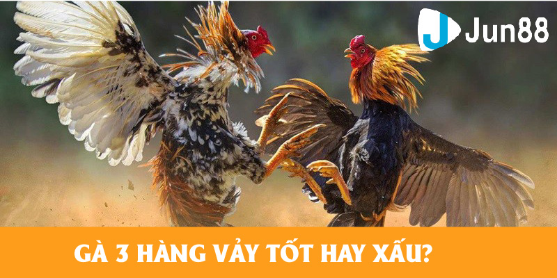 Tìm hiểu về gà ba hàng vảy tốt hay xấu?