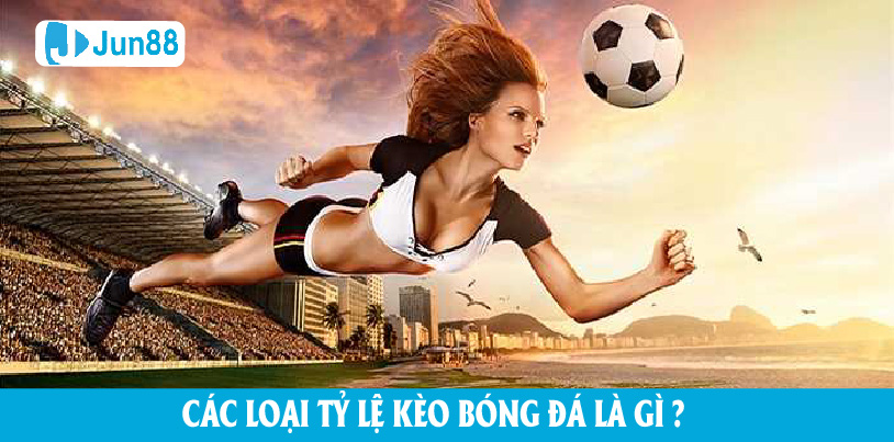 Các loại tỷ lệ kèo bóng đá là gì? 