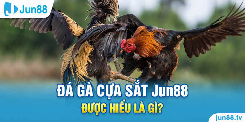 Đá gà cựa sắt Jun88 được hiểu là gì?