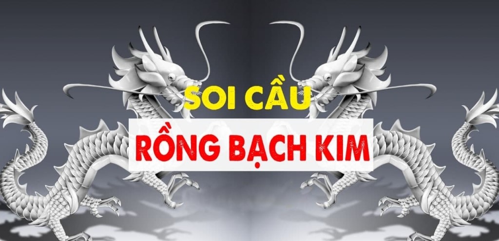 Giới thiệu tổng quan về soi cầu Rồng Bạch Kim